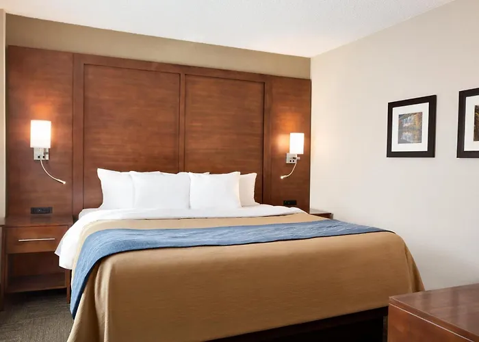 Comfort Inn & Suites Presidential