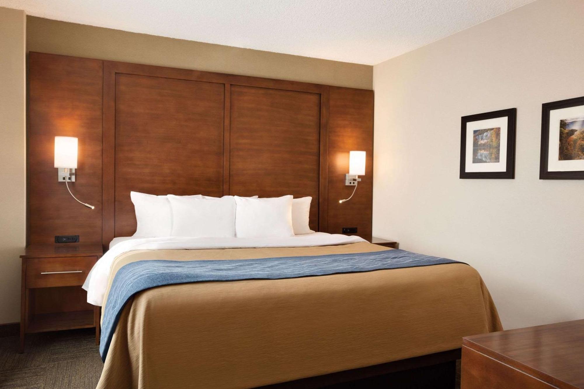 Comfort & Presidential 3*