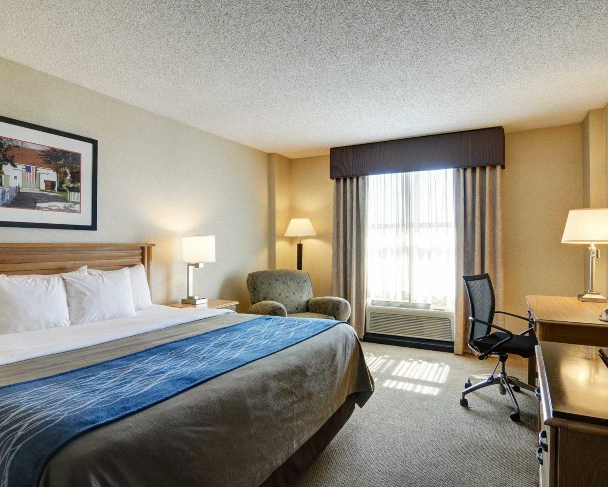 Comfort & Presidential Hotel 3*