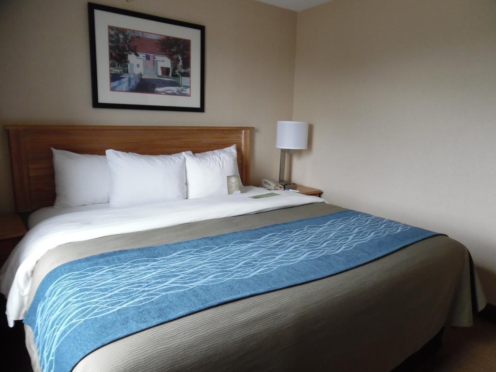 Comfort & Presidential Hotel