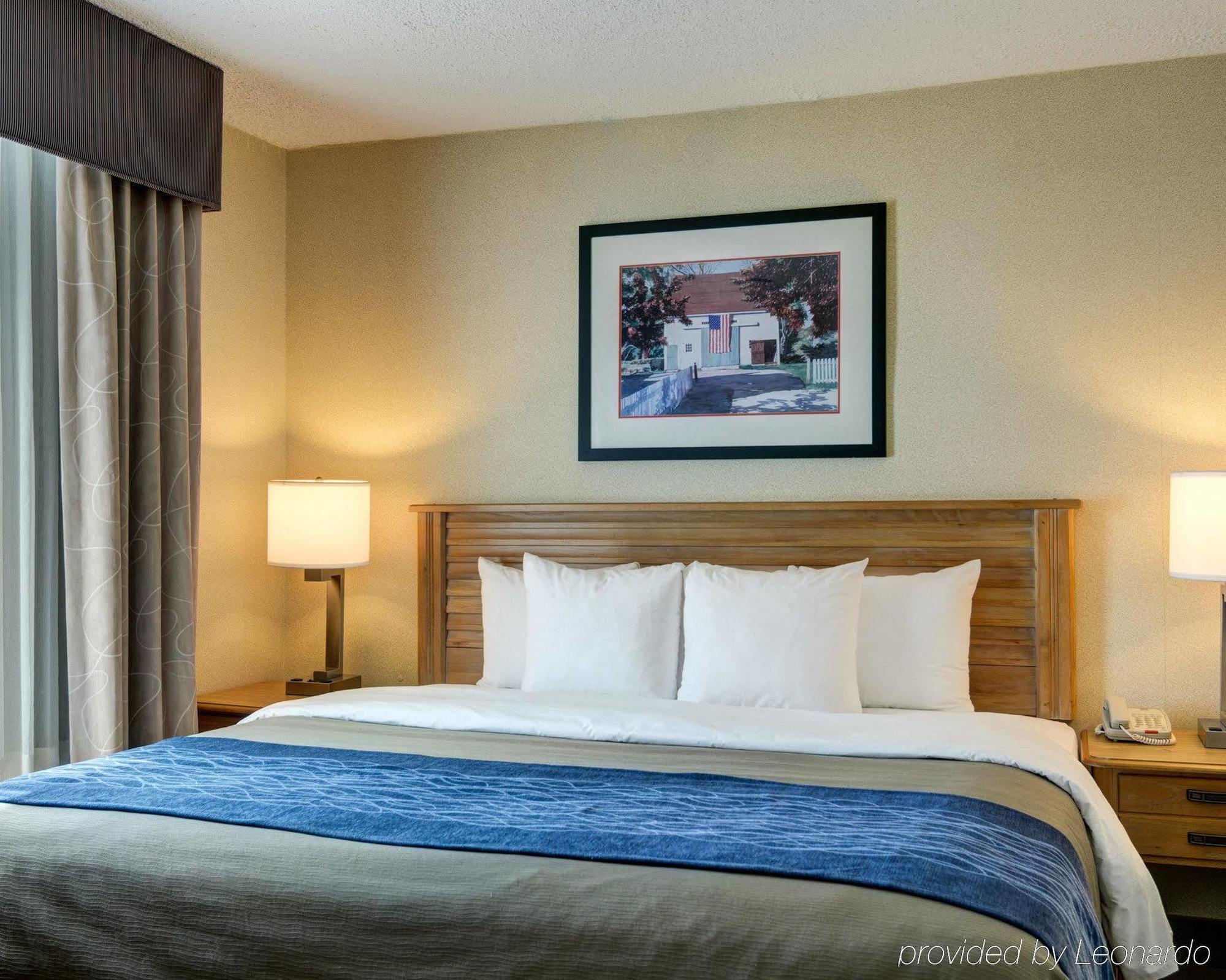 Comfort & Presidential Hotel 3*
